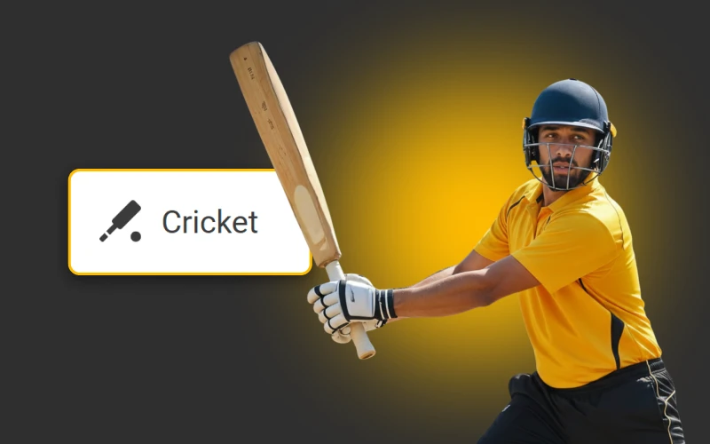 Melbet includes strong cricket markets popular among India bettors.