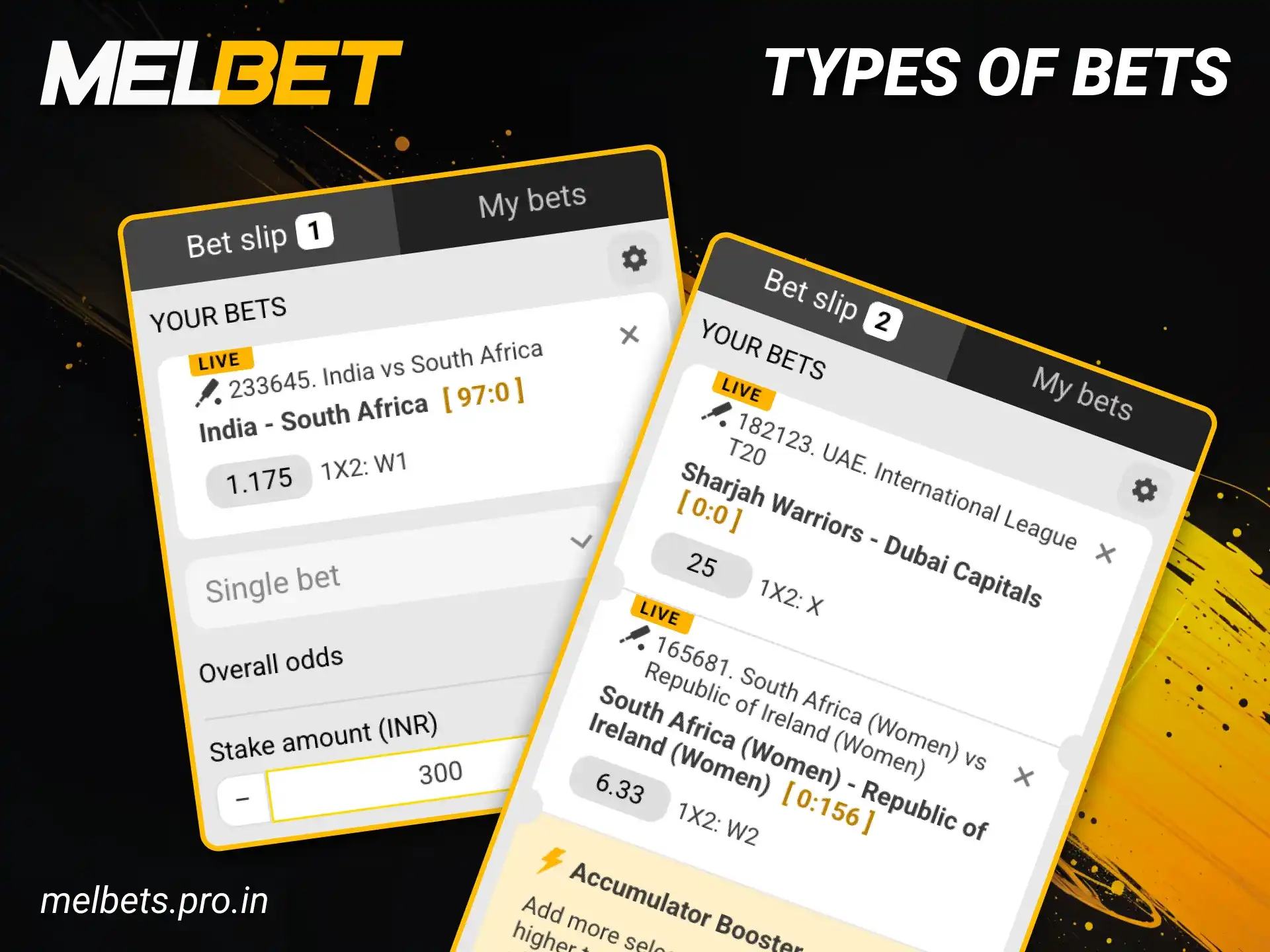 Win now by placing a bet on cricket at Melbet.
